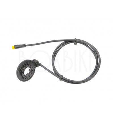 PAS / pedal sensor - KT-CDV12L - 4mm / Julet / 80cm